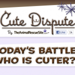 cutedisputetitle